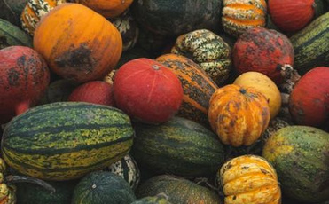 智能农贸解决方案已经成为趋势