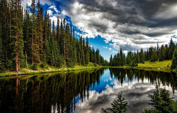 智慧环保系统各功能的运用