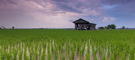 智慧农业及其服务模式及服务优势相关介绍