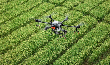 智慧农业在物联网技术下的发展现状