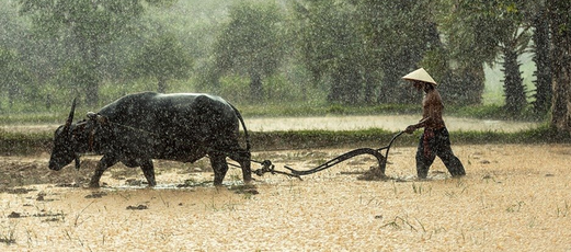 关于智慧农业是什么的相关解析