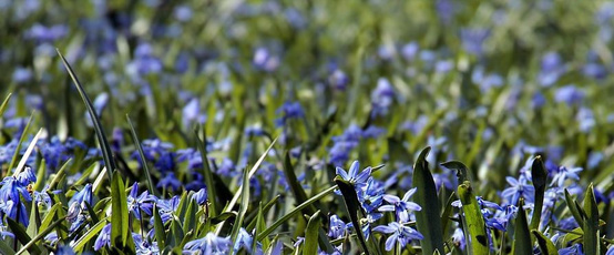 智慧园林：大数据技术在城市园林智慧应用的目标