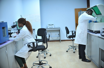 智慧医养结合服务模式分析