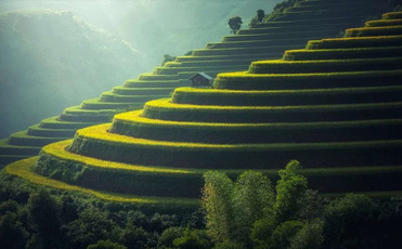 智能环境空气检测仪的运用