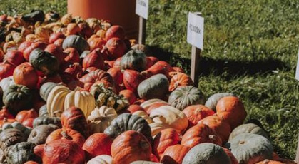 智能农贸解决方案逐渐发展与完善