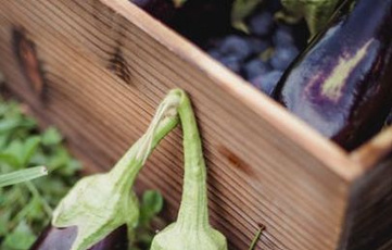 智能农贸解决方案提高市场效率