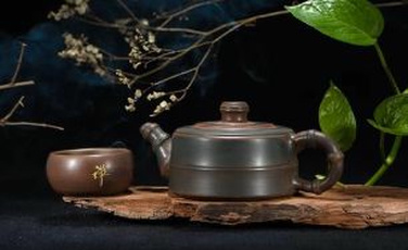 智能食物探针解决方案