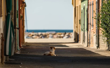 智慧物联之线缆品类管理中心