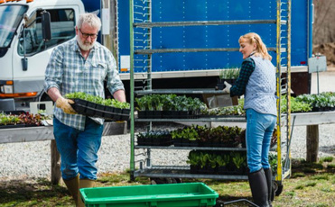 农业物联网在禽畜养殖的应用