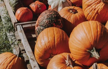 智能农贸解决方案助力提升市场水平