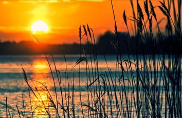 无人值守泵站在智慧水务中的应用