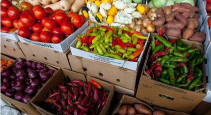 智能农贸解决方案分享新模式