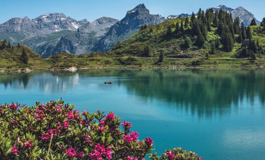 智慧水务的供水系统