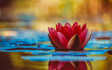 智慧水利的核心内容之大数据