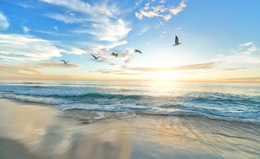 智慧水利系统工程