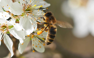 智慧环保面临的问题