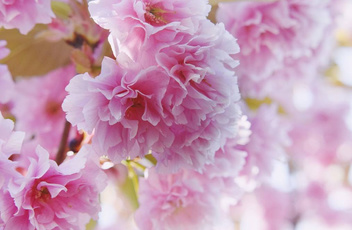 智慧环保系统的框架及其典型应用