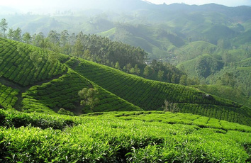 智慧环保方案运用的实例