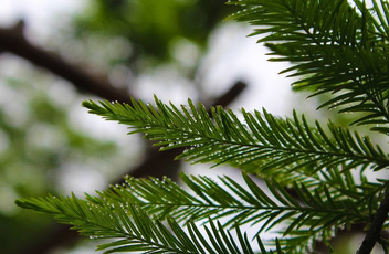 智慧环保智能公共厕所管理系统